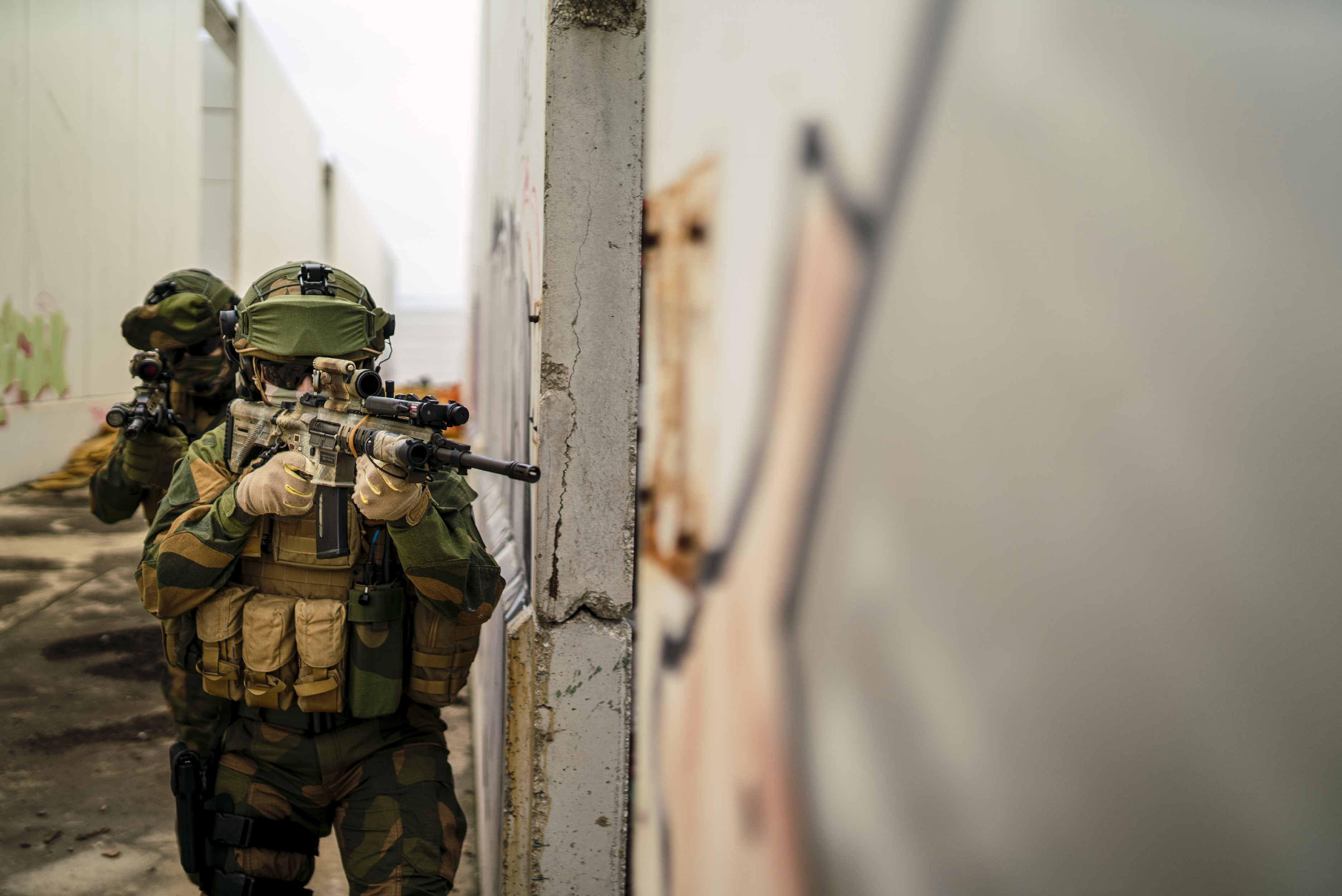 Roles de las Fuerzas Armas Españolas